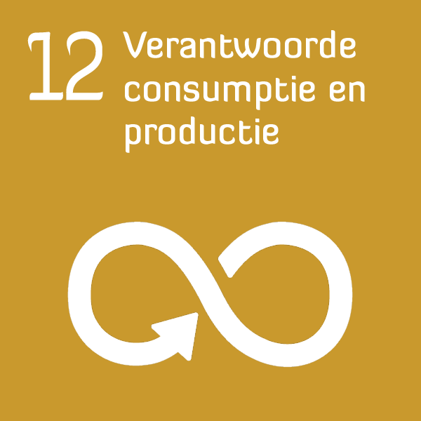 7. Betaalbare en duurzame e