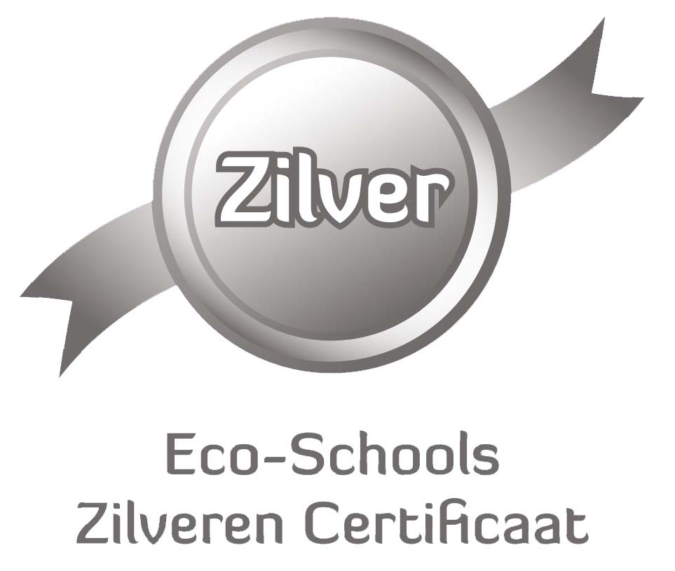 Zilver transparant